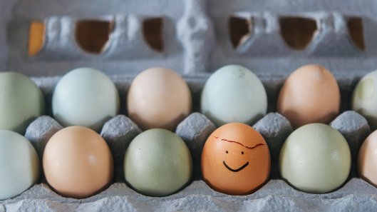 trh_case_for_optimism_artwork_wide-44be8a4e26872ed2d9cba72a6a7531d72fe016ee-s1200-c85